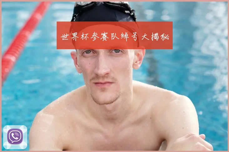 世界杯参赛队绰号大揭秘