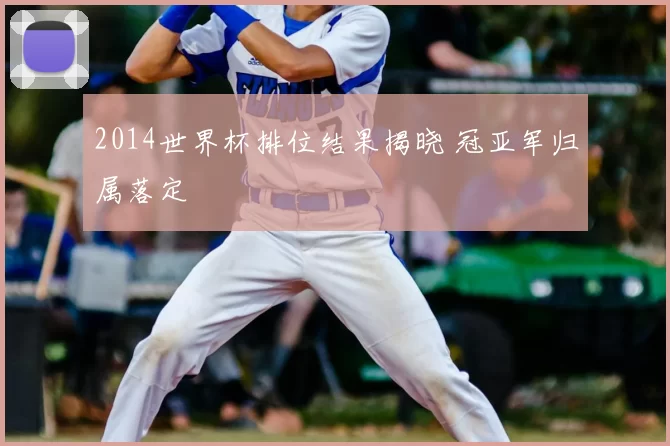 2014世界杯排位结果揭晓 冠亚军归属落定