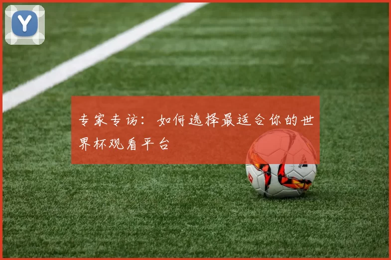 专家专访:如何选择最适合你的世界杯观看平台