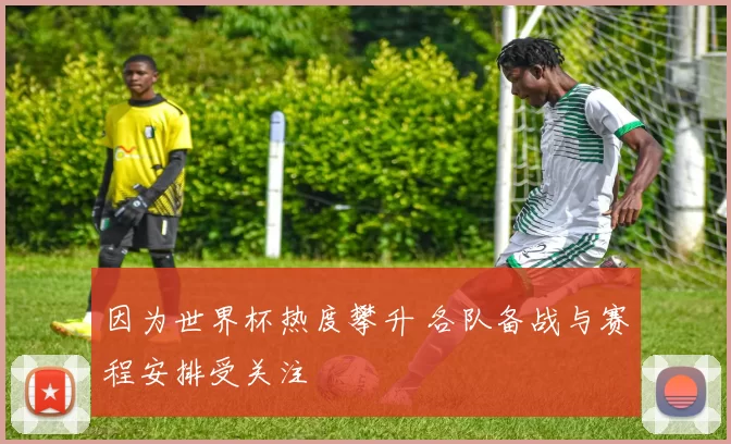 因为世界杯热度攀升 各队备战与赛程安排受关注