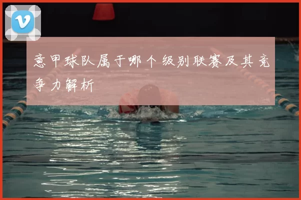 意甲球队属于哪个级别联赛及其竞争力解析