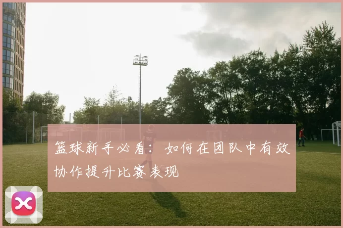 篮球新手必看：如何在团队中有效协作提升比赛表现