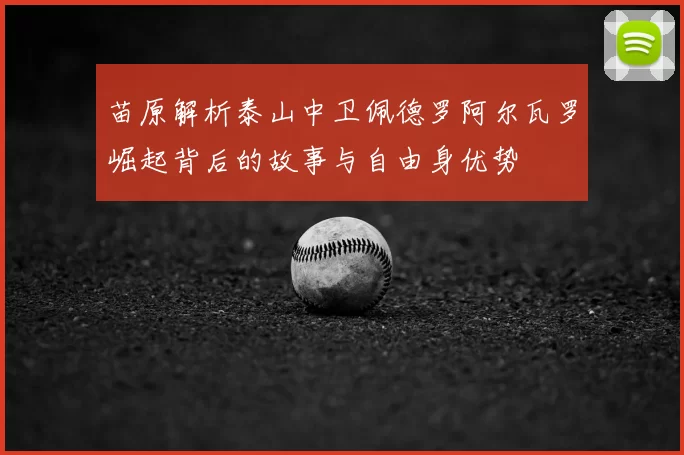 苗原解析泰山中卫佩德罗阿尔瓦罗崛起背后的故事与自由身优势