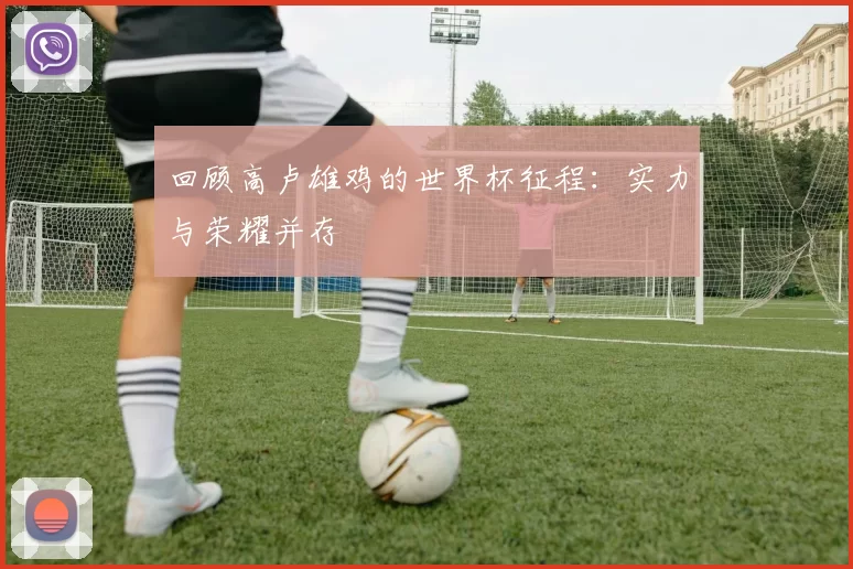 回顾高卢雄鸡的世界杯征程：实力与荣耀并存