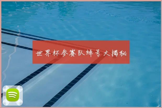 世界杯参赛队绰号大揭秘