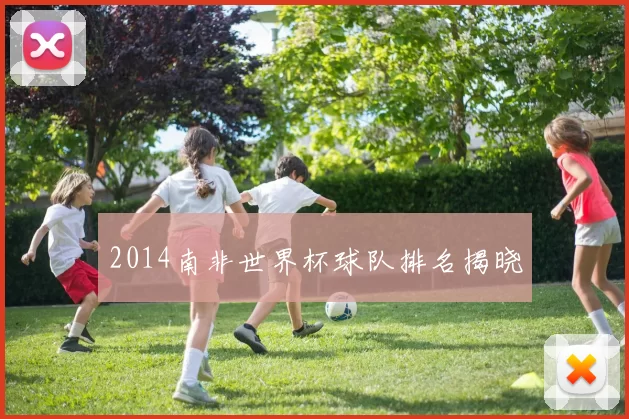 2014南非世界杯球队排名揭晓