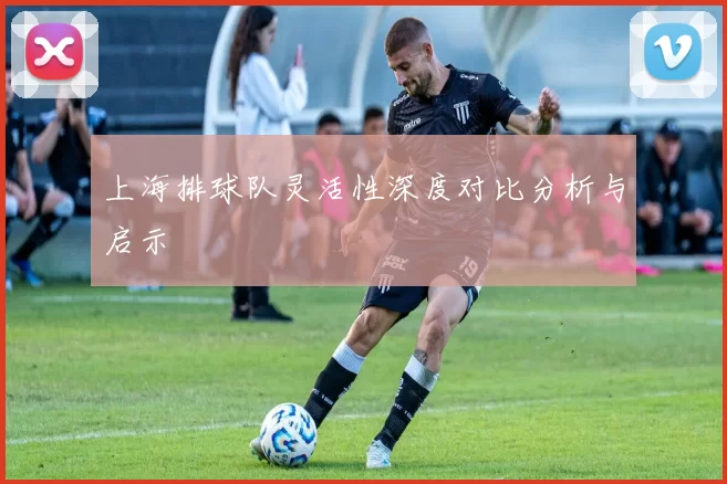 上海排球队灵活性深度对比分析与启示