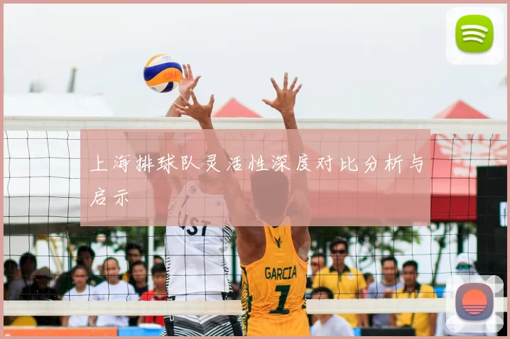 上海排球队灵活性深度对比分析与启示
