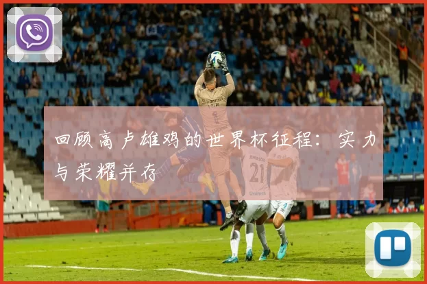 回顾高卢雄鸡的世界杯征程：实力与荣耀并存