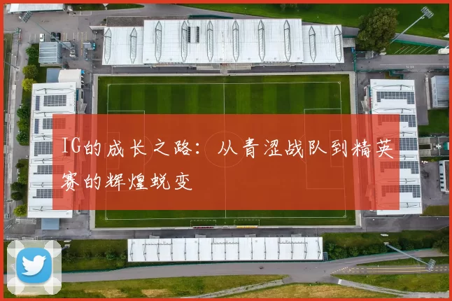 IG的成长之路：从青涩战队到精英赛的辉煌蜕变